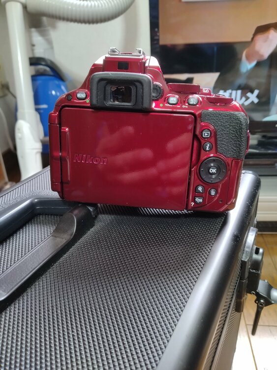 D5500レッドモデルレンズキット（カメラ）の商品画像 - 査定依頼日：2026年4月15日 - 最高査定価格：24,500円