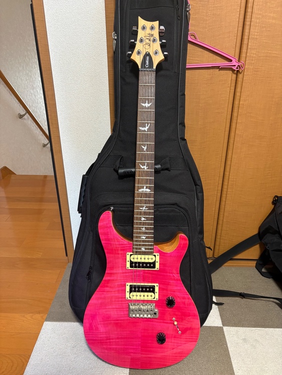 SE custom24（ピアノ・楽器・PA機材）の商品画像 - 査定依頼日：2026年6月13日 - 最高査定価格：44,000円