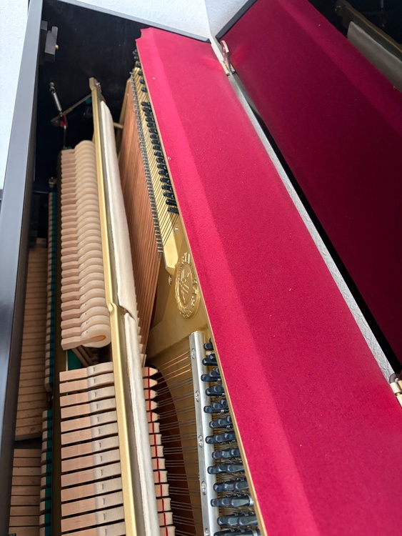 U10BI（ピアノ・楽器・PA機材）の商品画像 - 査定依頼日：2026年3月29日 - 最高査定価格：10,000円