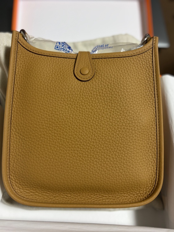 エブリン16アマゾーヌ　ビスキュイ（ブランドバッグ）の商品画像 - 査定依頼日：2026年1月20日 - 最高査定価格：350,000円