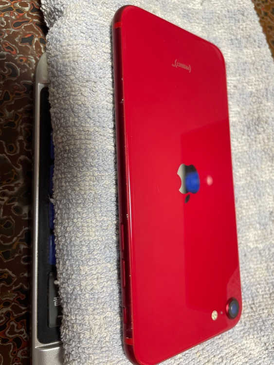 iPhone SE (第 2 世代) 64GB SIMフリー（スマホ）の商品画像 - 査定依頼日：2026年4月1日 - 最高査定価格：13,000円