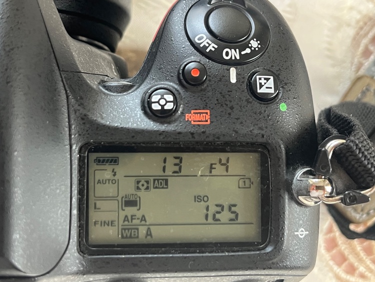 D7100（カメラ）の商品画像 - 査定依頼日：2026年4月28日 - 最高査定価格：25,500円