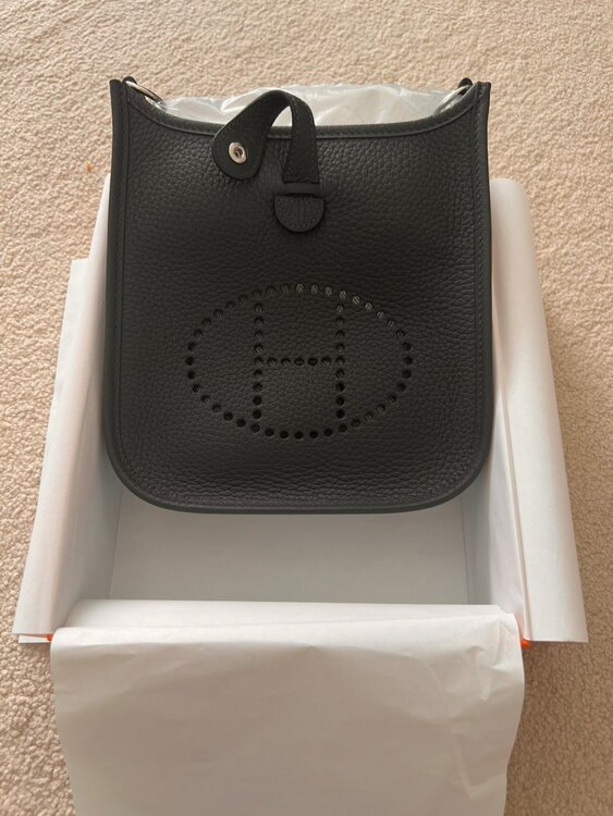 エブリンTPM（ブランドバッグ）の商品画像 - 査定依頼日：2025年5月29日 - 最高査定価格：390,000円