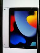 2021 apple 10.2インチ ipad wi-fi 256gb（PC・タブレット）の商品画像 - 査定依頼日：2022年9月23日 - 最高査定価格：50,000円