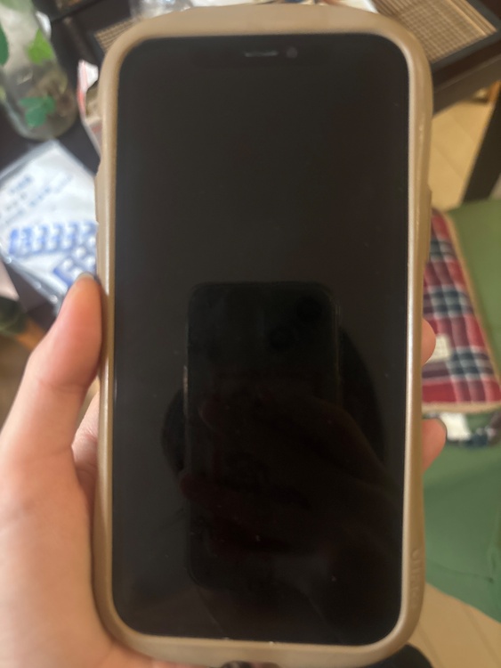 iPhone iPhone 12 128GB docomo（スマホ）の商品画像 - 査定依頼日：2026年9月10日 - 最高査定価格：19,000円