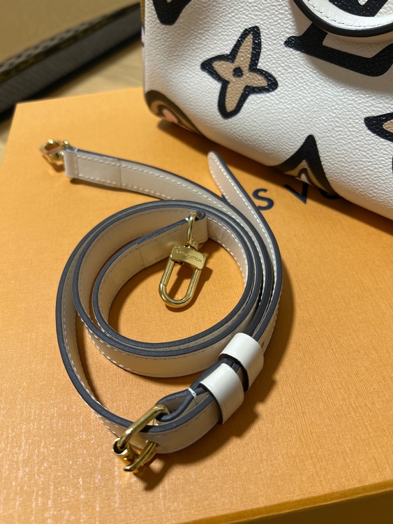 ルイヴィトン スピーディー （ブランドバッグ）の商品画像 - 査定依頼日：2025年12月24日 - 最高査定価格：250,000円