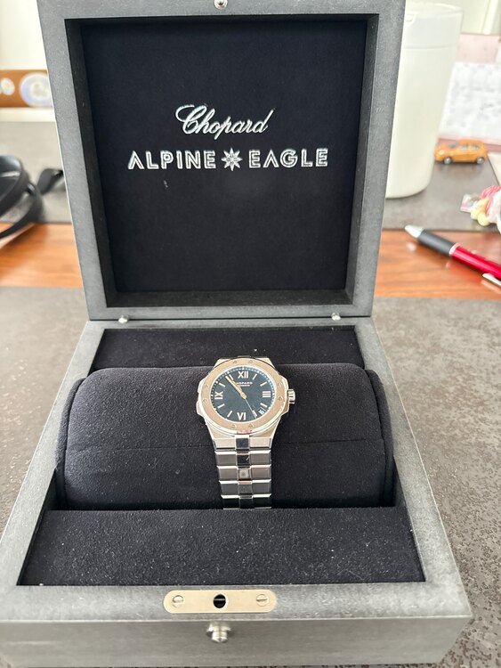 ショパール その他 アルパインイーグルら（高級時計）の商品画像 - 査定依頼日：2025年4月18日 - 最高査定価格：1,150,000円