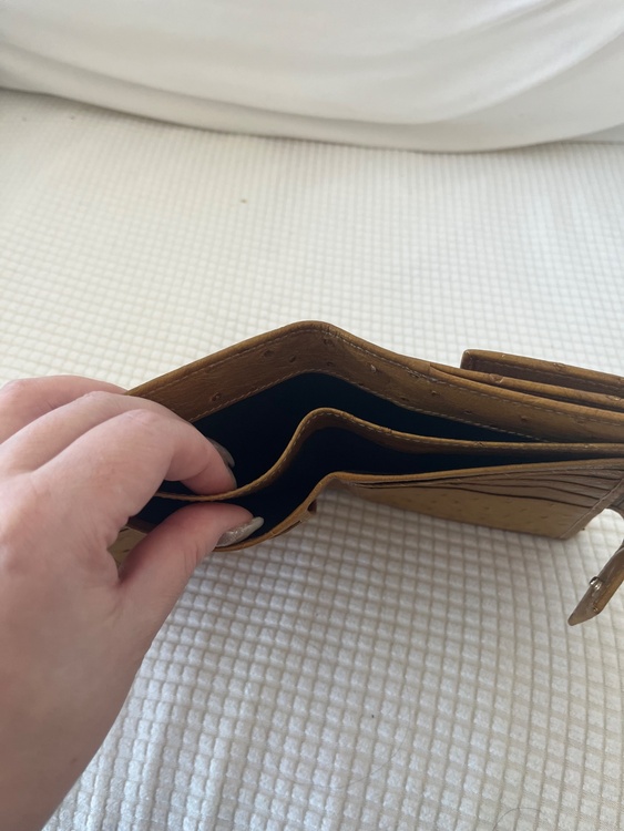 GUCCI オーストリッチ　財布（ブランド財布・小物）の商品画像 - 査定依頼日：2026年1月9日 - 最高査定価格：100,000円