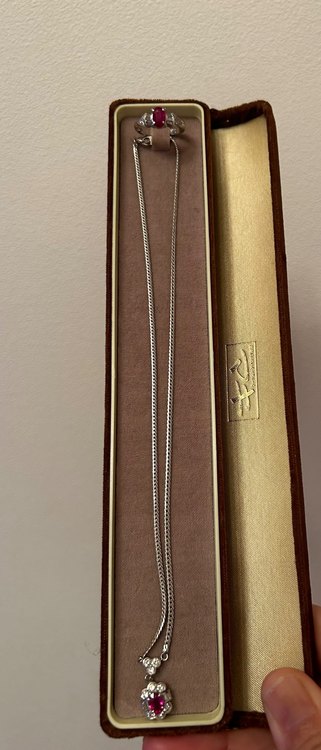 ネックレスと指輪（宝石）の商品画像 - 査定依頼日：2023年9月19日 - 最高査定価格：60,000円