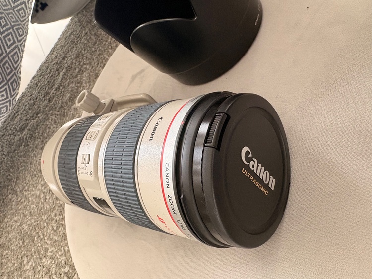 Canon EF70-200mm（カメラ）の商品画像 - 査定依頼日：2026年6月21日 - 最高査定価格：100,000円