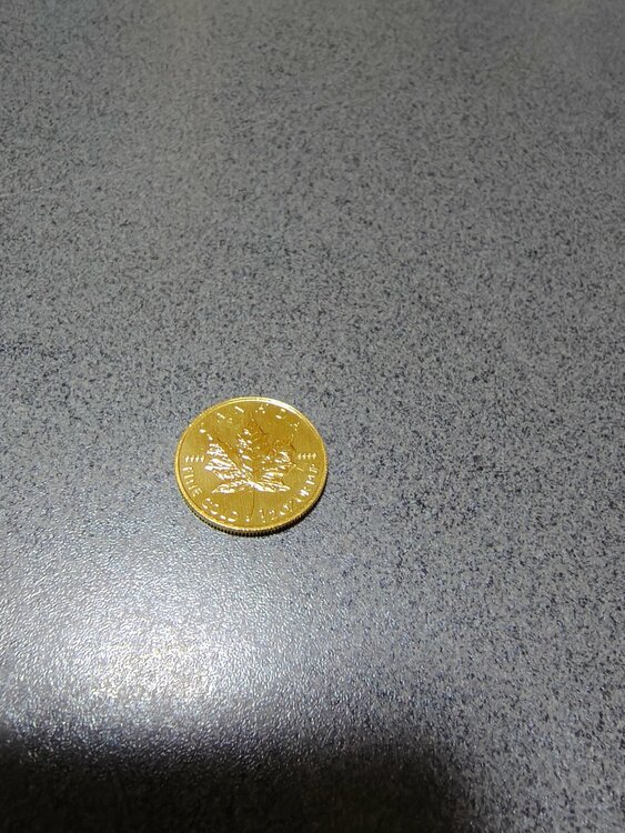 メイプルリーフ金貨1/2（金・貴金属）の商品画像 - 査定依頼日：2025年12月22日 - 最高査定価格：330,000円