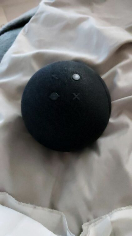 エリクサー（オーディオ・スピーカー）の商品画像 - 査定依頼日：2025年10月14日 - 最高査定価格：5,000円