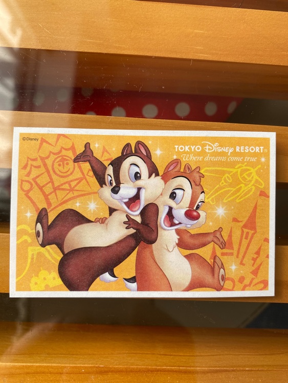 東京ディズニーリゾートパークチケット（チケット・金券）の商品画像 - 査定依頼日：2025年11月15日 - 最高査定価格：7,000円