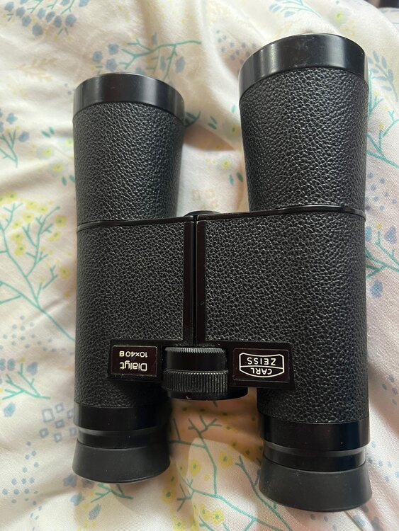 Dialut 双眼鏡（カメラ）の商品画像 - 査定依頼日：2025年5月26日 - 最高査定価格：13,000円