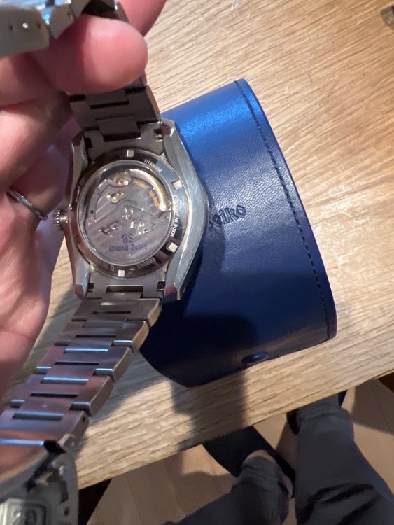 セイコー グランドセイコー SBGA481（高級時計）の商品画像 - 査定依頼日：2026年3月25日 - 最高査定価格：100,000円