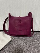 エブリン29（ブランドバッグ）の商品画像 - 査定依頼日：2025年1月5日 - 最高査定価格：200,000円