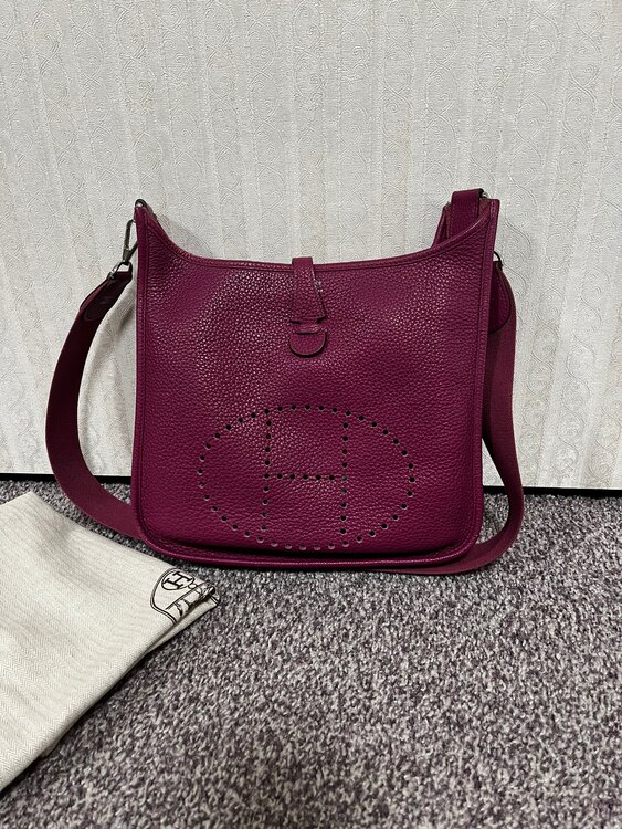 エブリン29（ブランドバッグ）の商品画像 - 査定依頼日：2025年1月5日 - 最高査定価格：200,000円