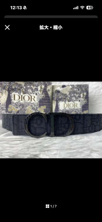 ディオール  （ブランドバッグ）の商品画像 - 査定依頼日：2026年2月5日 - 最高査定価格：40,000円