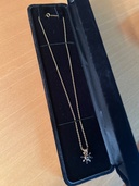 ネックレス（金・貴金属）の商品画像 - 査定依頼日：2026年1月21日 - 最高査定価格：200,000円