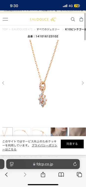 1410161231020000（金・貴金属）の商品画像 - 査定依頼日：2025年4月9日 - 最高査定価格：12,000円