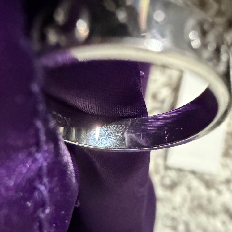 グッチ  （ブランドバッグ）の商品画像 - 査定依頼日：2026年1月31日 - 最高査定価格：70,000円