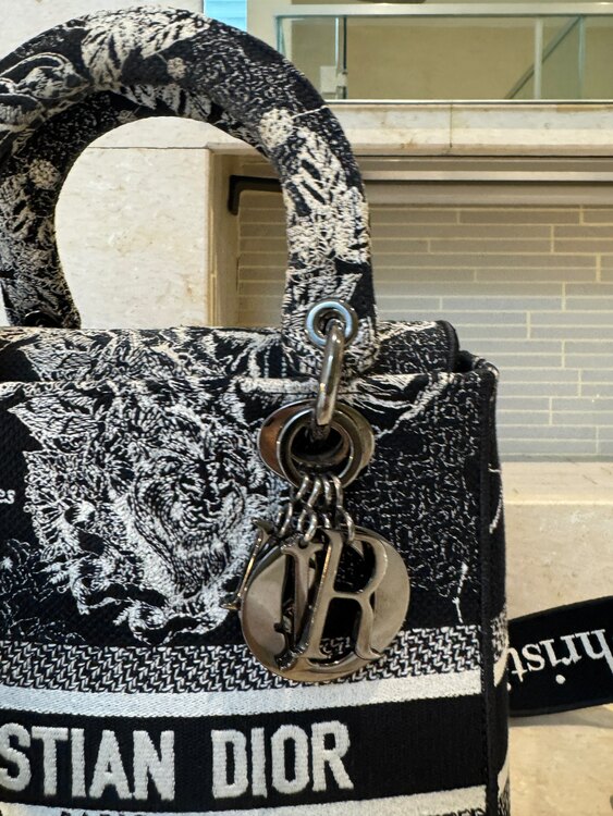 レディディオール（ブランドバッグ）の商品画像 - 査定依頼日：2025年2月6日 - 最高査定価格：280,000円