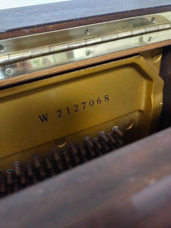 W（ピアノ・楽器・PA機材）の商品画像 - 査定依頼日：2025年9月16日 - 最高査定価格：5,000円