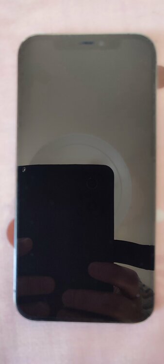 iPhone 12 Pro 256GB（スマホ）の商品画像 - 査定依頼日：2026年8月3日 - 最高査定価格：34,500円