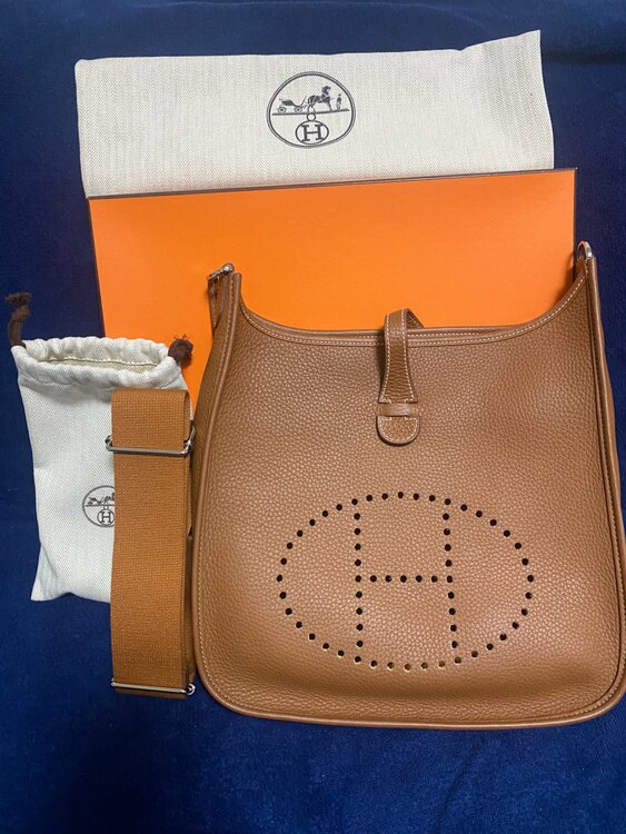 エブリン29（ブランドバッグ）の商品画像 - 査定依頼日：2026年3月18日 - 最高査定価格：380,000円