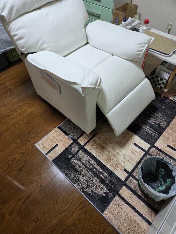 その他 その他 （ブランドバッグ）の商品画像 - 査定依頼日：2026年4月15日 - 最高査定価格：1,000円