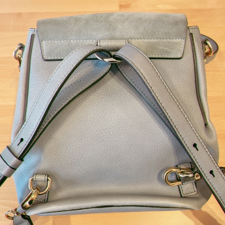 その他 クロエ （ブランドバッグ）の商品画像 - 査定依頼日：2025年8月1日 - 最高査定価格：30,000円