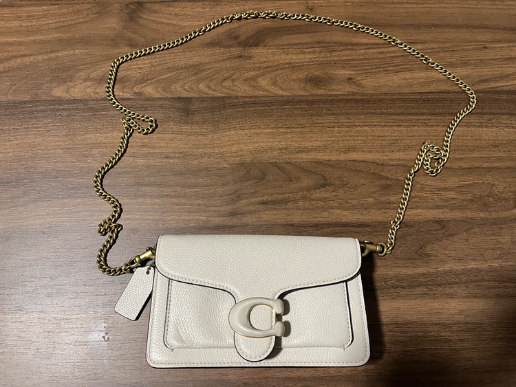 タビー チェーン クロスボディ バッグ 19（ブランドバッグ）の商品画像 - 査定依頼日：2026年3月14日 - 最高査定価格：8,000円