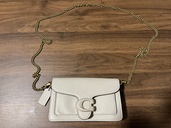 タビー チェーン クロスボディ バッグ 19（ブランドバッグ）の商品画像 - 査定依頼日：2026年3月14日 - 最高査定価格：8,000円