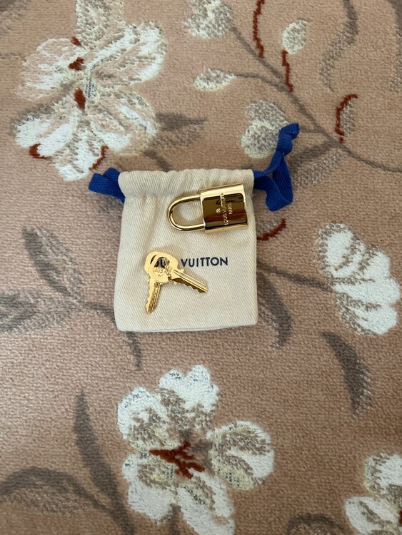 ルイヴィトン スピーディー （ブランドバッグ）の商品画像 - 査定依頼日：2025年3月31日 - 最高査定価格：280,000円