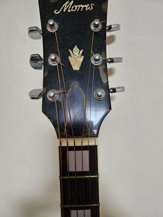 Morris（ピアノ・楽器・PA機材）の商品画像 - 査定依頼日：2025年3月28日 - 最高査定価格：2,000円