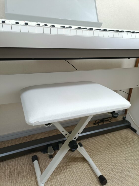 CASIO　PX-130（ピアノ・楽器・PA機材）の商品画像 - 査定依頼日：2026年3月28日 - 最高査定価格：5,000円