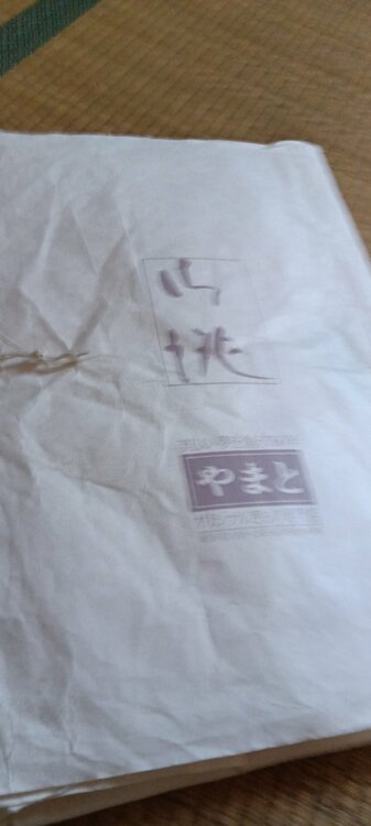 坂東玉三郎展示品1点もの振袖（着物）の商品画像 - 査定依頼日：2026年10月4日 - 最高査定価格：2,000円