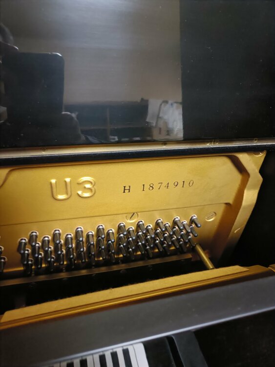 U3H 1874910（ピアノ・楽器・PA機材）の商品画像 - 査定依頼日：2026年3月14日 - 最高査定価格：30,000円