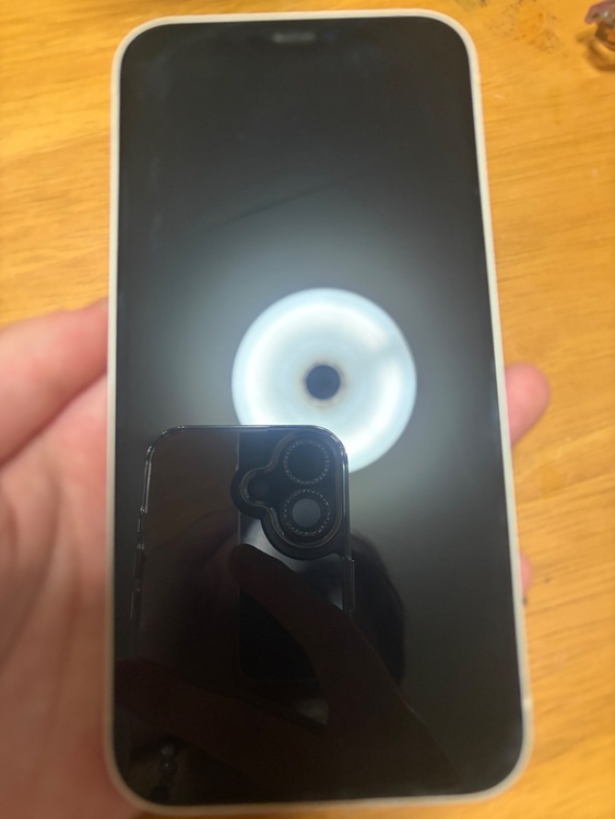 iPhone iPhone 12 64GB docomo（スマホ）の商品画像 - 査定依頼日：2026年8月29日 - 最高査定価格：20,000円