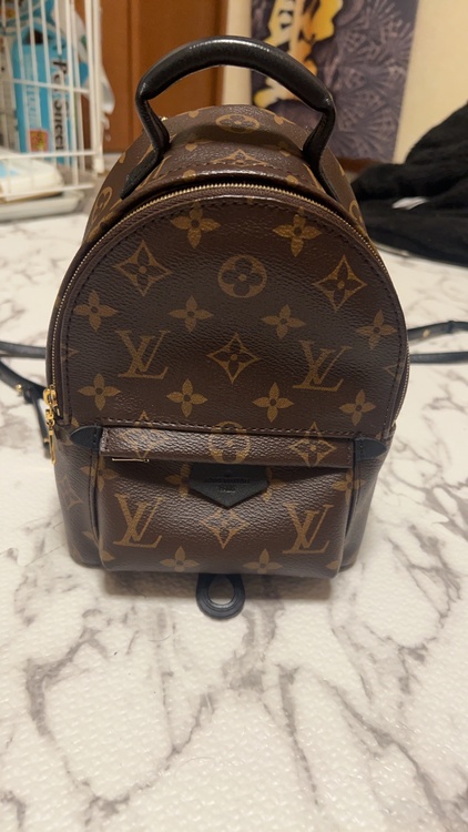 ルイヴィトン モノグラム （ブランドバッグ）の商品画像 - 査定依頼日：2026年2月9日 - 最高査定価格：260,000円