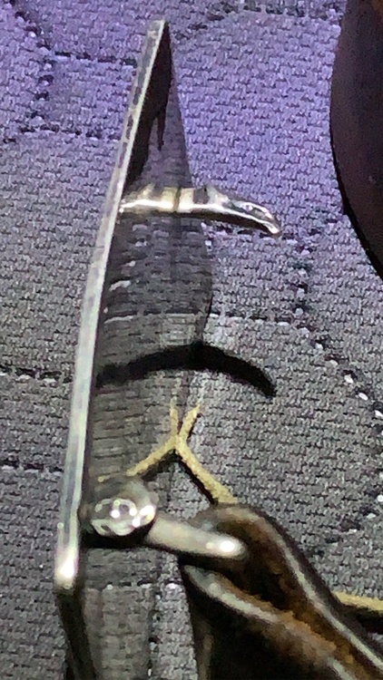 イーグル彫りバックルベルト（古着・ファッション）の商品画像 - 査定依頼日：2026年3月17日 - 最高査定価格：30,000円