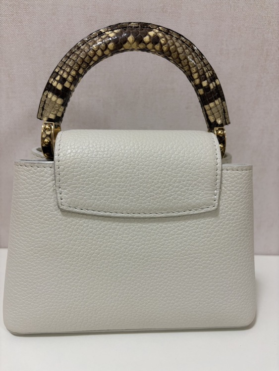 カプシーヌ　ミニ　N98477（ブランドバッグ）の商品画像 - 査定依頼日：2026年1月31日 - 最高査定価格：320,000円