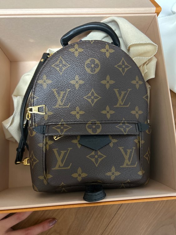 パームスプリングス バックパック MINI（ブランドバッグ）の商品画像 - 査定依頼日：2022年9月18日 - 最高査定価格：170,000円