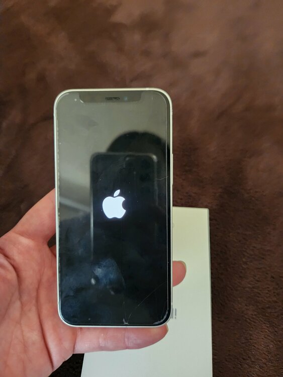 iPhone iPhone 12 mini 128GB SIMフリー（スマホ）の商品画像 - 査定依頼日：2026年7月11日 - 最高査定価格：21,000円