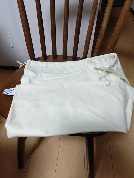 ロエベ　Tバッグパック　（ブランドバッグ）の商品画像 - 査定依頼日：2026年2月8日 - 最高査定価格：65,000円