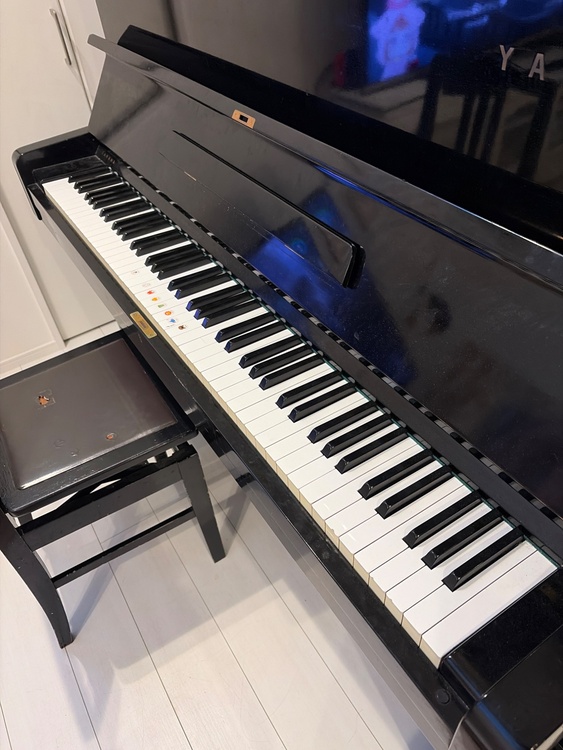 U1 425130（ピアノ・楽器・PA機材）の商品画像 - 査定依頼日：2026年2月1日 - 最高査定価格：10,000円