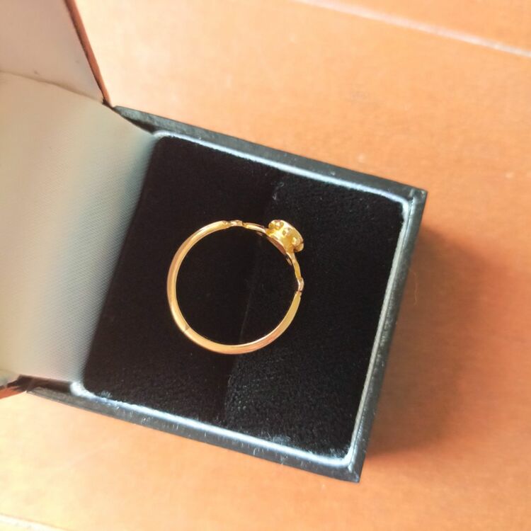 ガーネットのリング（金・貴金属）の商品画像 - 査定依頼日：2025年9月26日 - 最高査定価格：20,000円