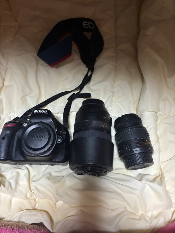 nikon（カメラ）の商品画像 - 査定依頼日：2026年3月31日 - 最高査定価格：20,000円
