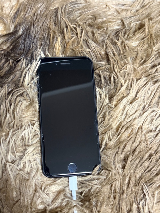 iPhone iPhone SE (第 2 世代) 128GB au（スマホ）の商品画像 - 査定依頼日：2026年9月18日 - 最高査定価格：9,000円