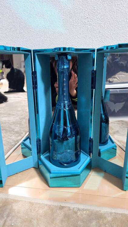 シャンパン シャンパン(その他) （お酒）の商品画像 - 査定依頼日：2025年2月26日 - 最高査定価格：70,000円